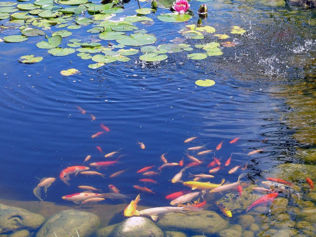 Hotel Restaurant Les Jardins D'Épône Εξωτερικό φωτογραφία
